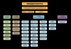 <strong>中国食物科学手艺</strong>